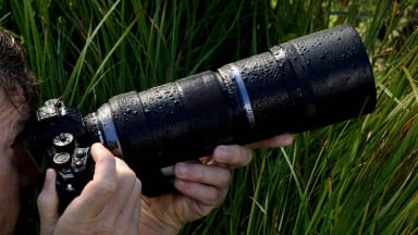 The Olympus M.Zuiko Digital ED 300mm f4.0 PRO Lens