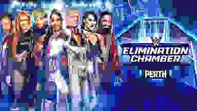 A collection of WWE superstars next to the Elimination Chamber logo.