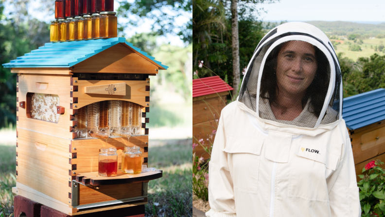 A hobbyist beehive and a beekeeper suit.