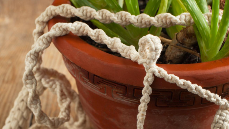 Close up of macramé holding a clay flower pot