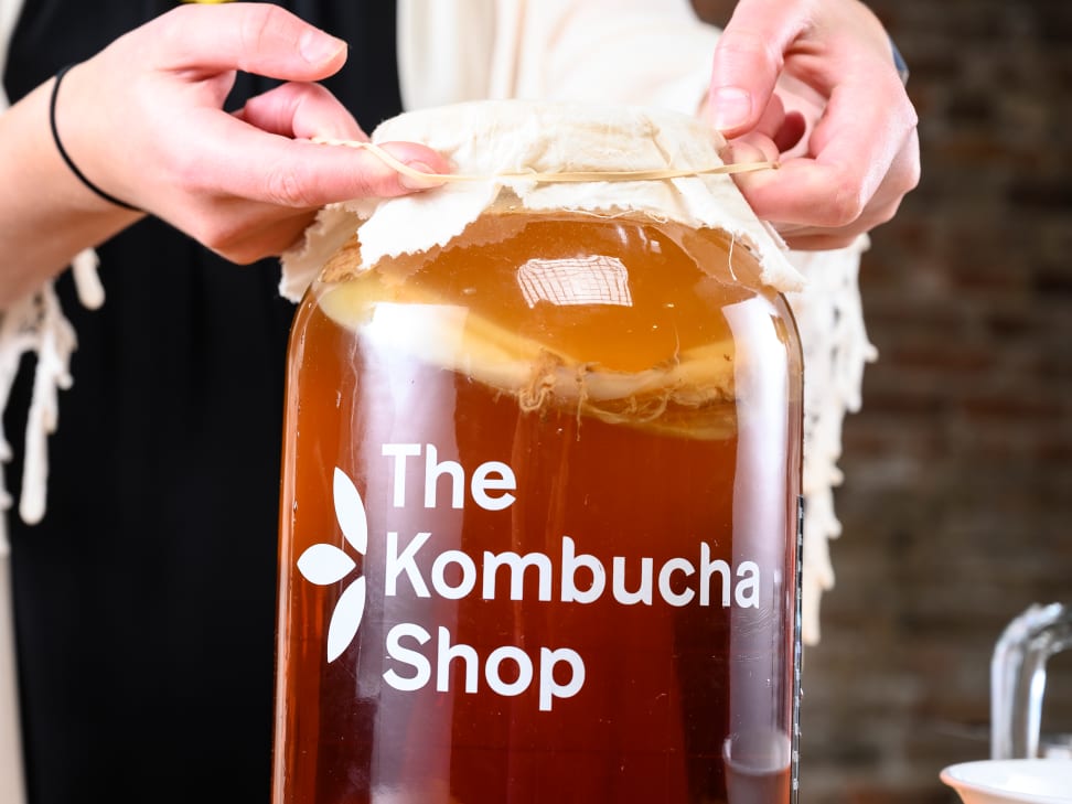 The Kombucha Company Starter Tea, 16 oz Bottle