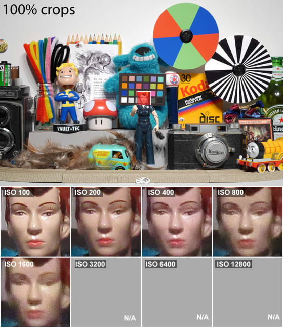 DCI-SCIENCE-PAGE-ROSIE.jpg