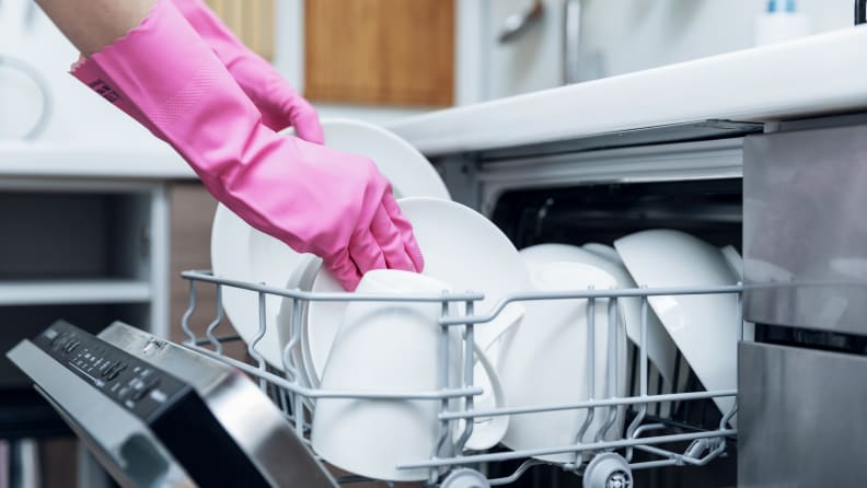 does dishwasher kill bacteria