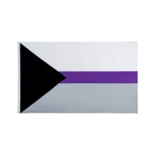 Product image of Demisexual Pride Flag