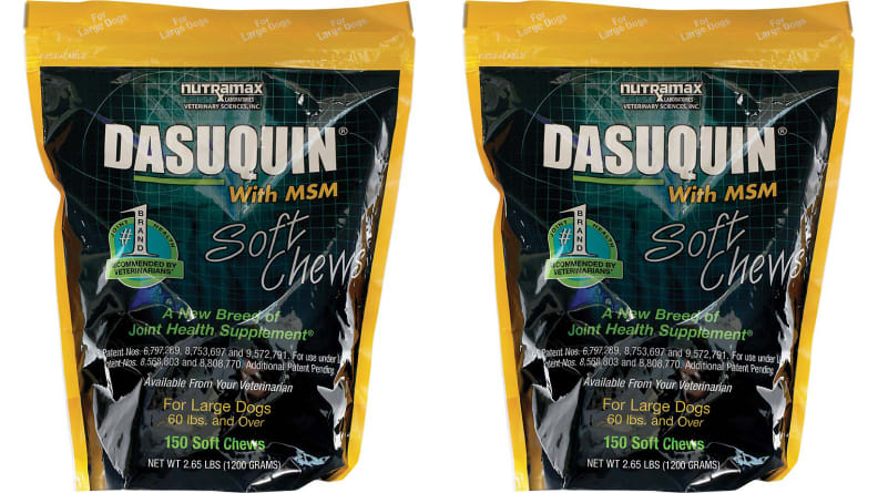 Nutramax Dasuquin with MSM Soft Chews Joint Health Large Dog Supplement