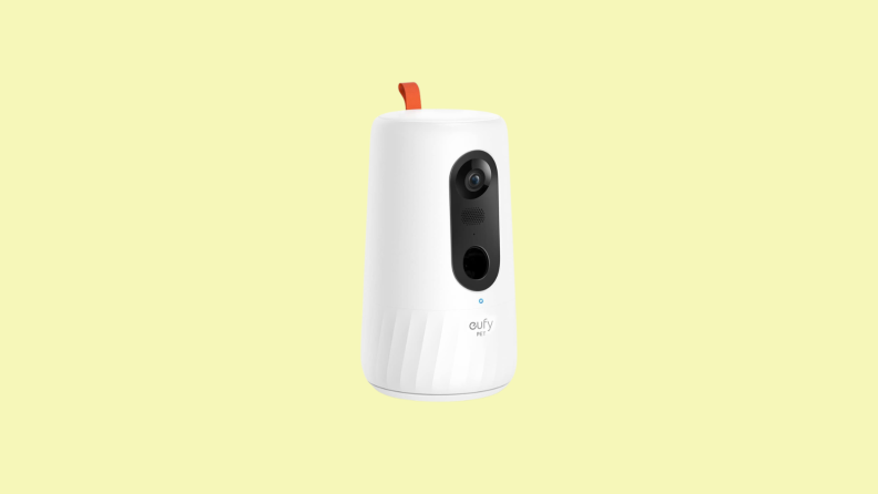 Pet camera against yellow background
