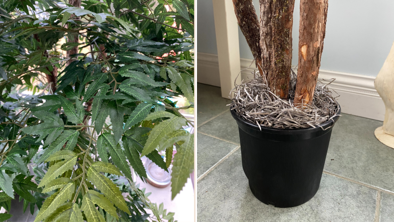 A split image showing the leaves and the base of the Ming Aralia Executive Silk Tree from Walmart's Hayneedle line.