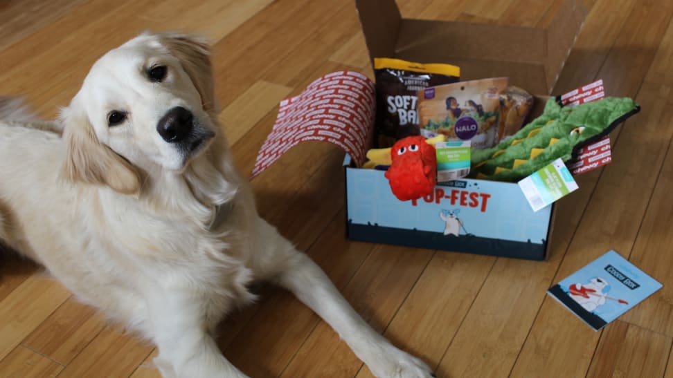 If you regularly spoil your dog, you'll love this pet-focused mystery box.