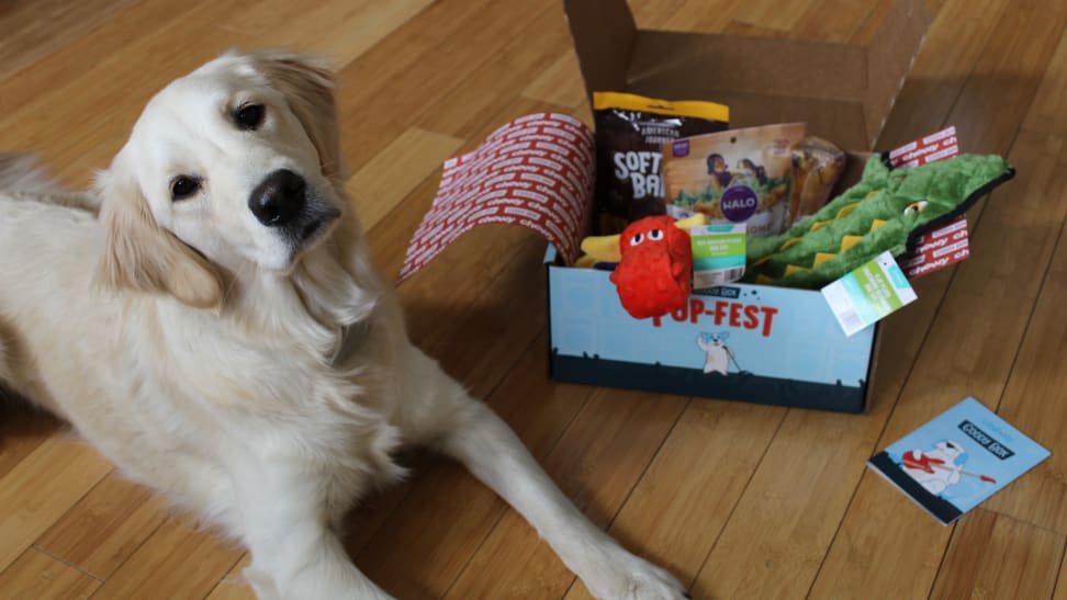 chewy dog gift box