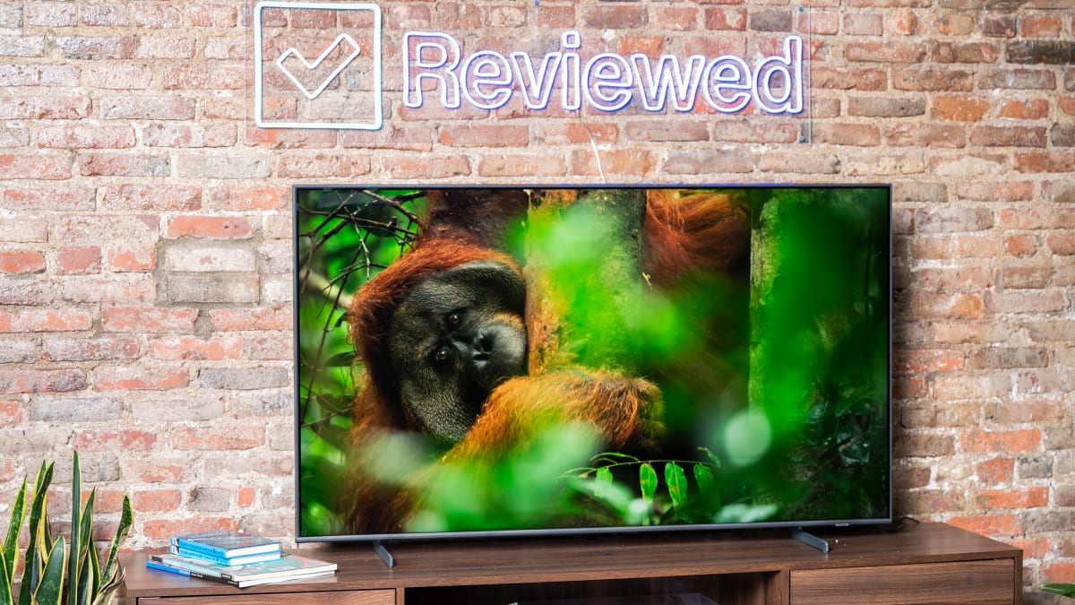 Løve nøgen ser godt ud Samsung Q60B QLED TV Review: Quantum dots for less - Reviewed
