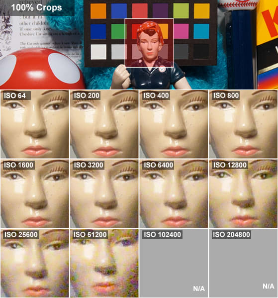 As you can see you get usable images as high as ISO 3200 before you see detail starts to give way to noise.