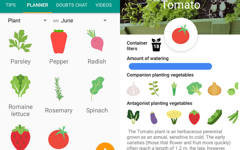 Vegetable Pot Garden App