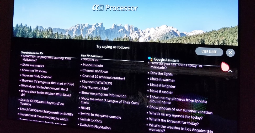 LG-W8-A9-Processor