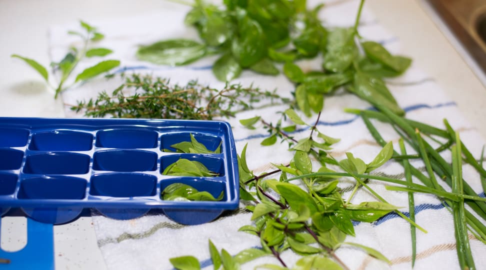 Believe it or not, there's a lot you can do with an ice cube tray.