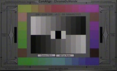 Canon_FS11_60_Lux_Auto_web.jpg