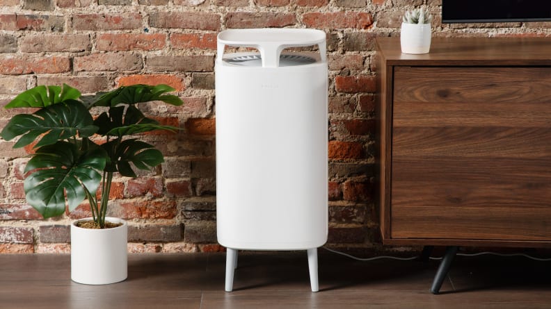 The Blueair DustMagnet 5410i air purifier sits next to a houseplant.
