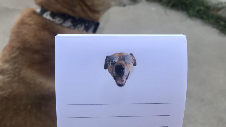 Rocky notepad