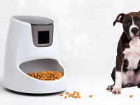 A pet feeder with a dog next to it
