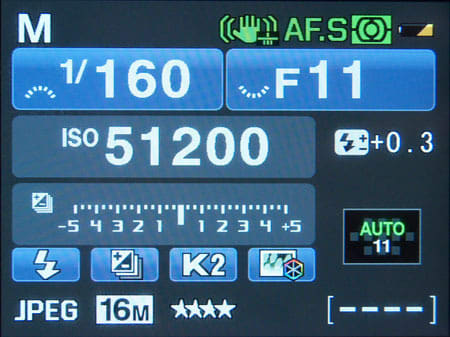 FI Manual Controls Photo