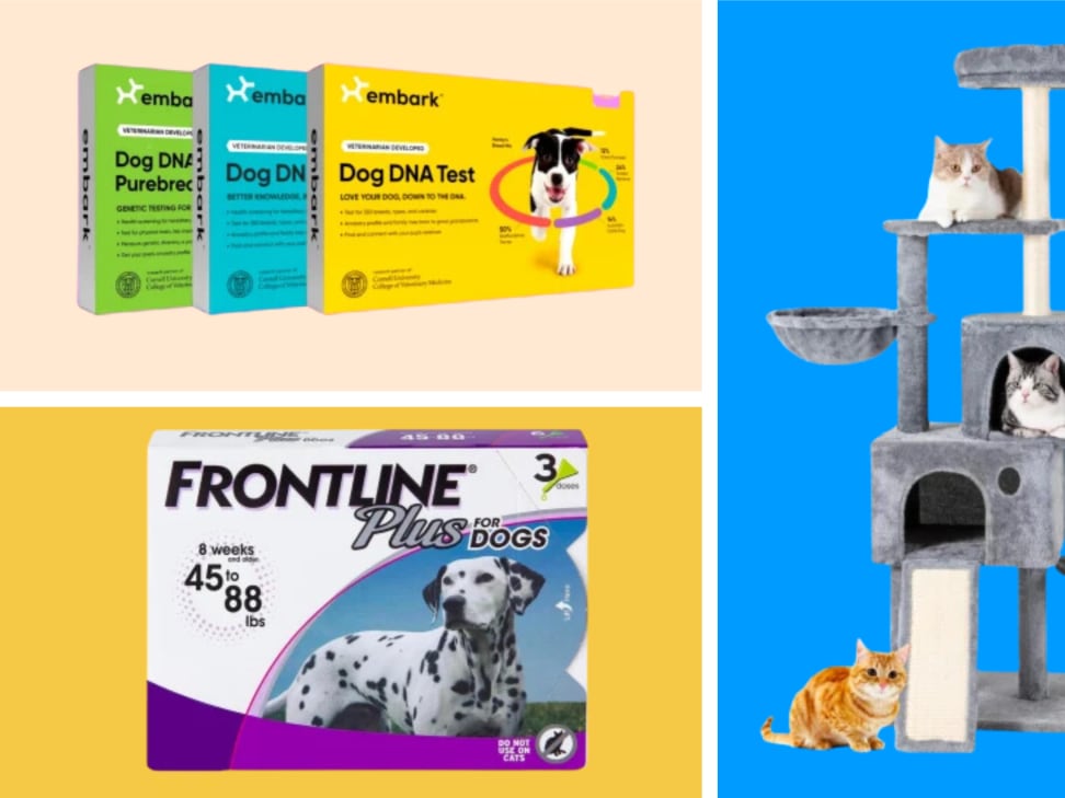 Black Friday pet deals Shop toys clothes and beds for cats and