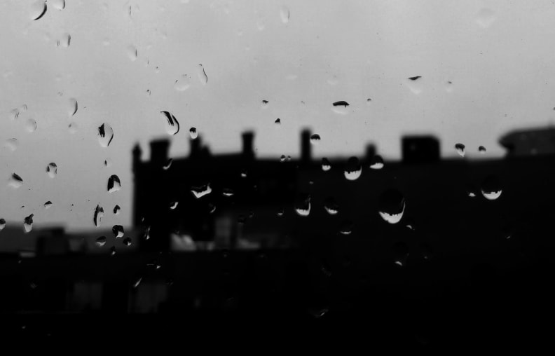 The G3's focus does very well here, letting us easily lock onto the raindrops and not getting stuck focusing on the background.