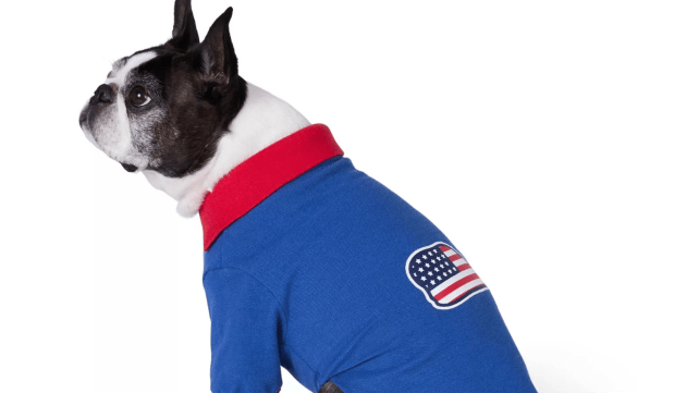 polo
