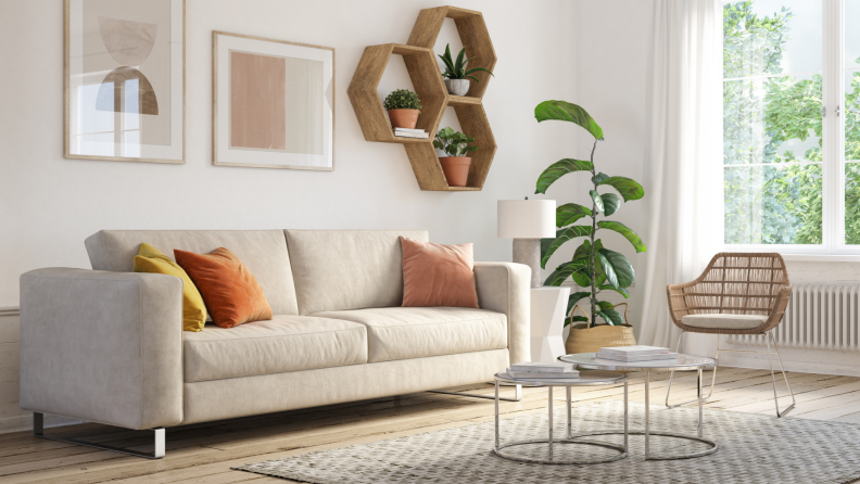 A professionally decorated living room features potted plants on the wall and in the corner, minimalist paintings, a small coffee table, and a wicker chair by the window.