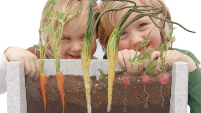 Root-Vue Farm