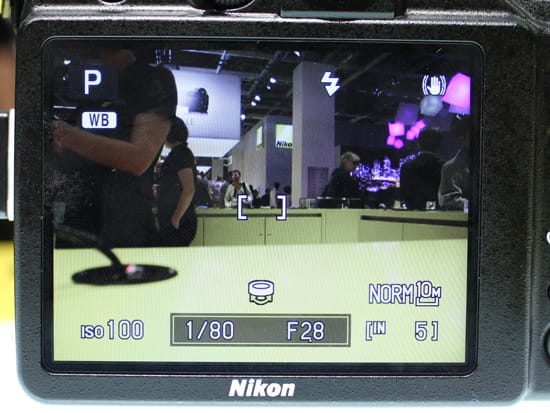 FI LCD Photo