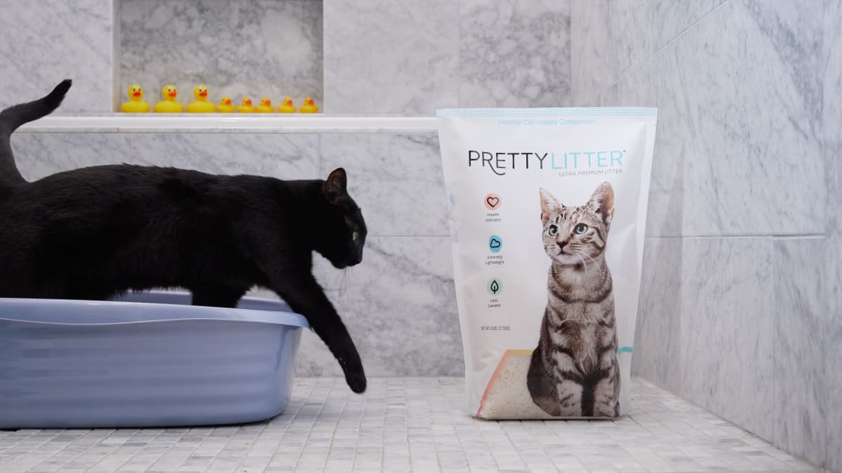 Prettylitter Review Is This Health Monitoring Cat Litter Worth The Price Reviewed