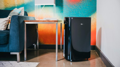 A black LG PuriCare dehumidifier in a colorful living room.