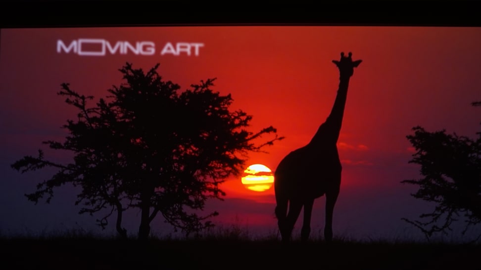 moving-art-sunset