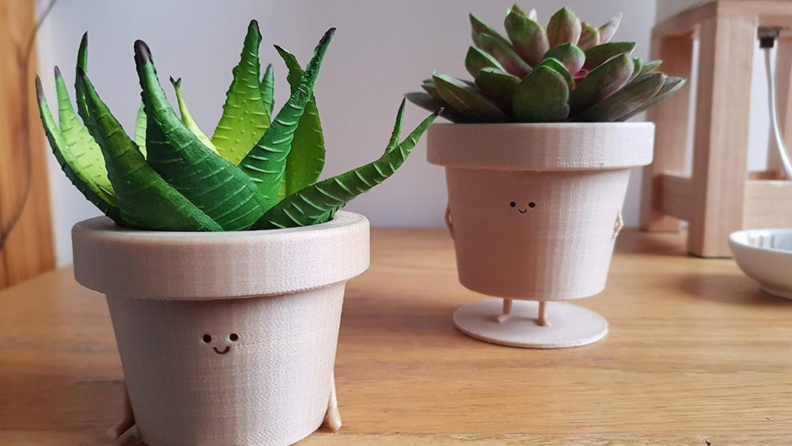 Two identical smiley face planters holding plants.