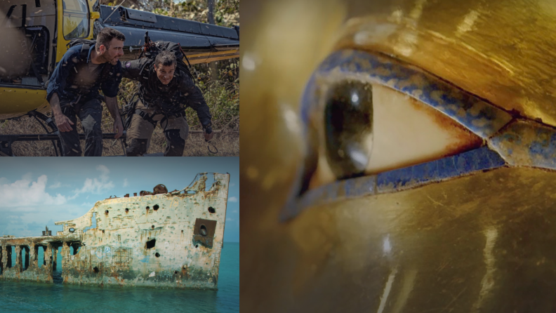 Three stills from various National Geographic shows.