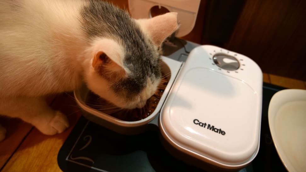 ballon Oraal Blind Cat Mate C200 review: Automatic cat feeder wet food - Reviewed