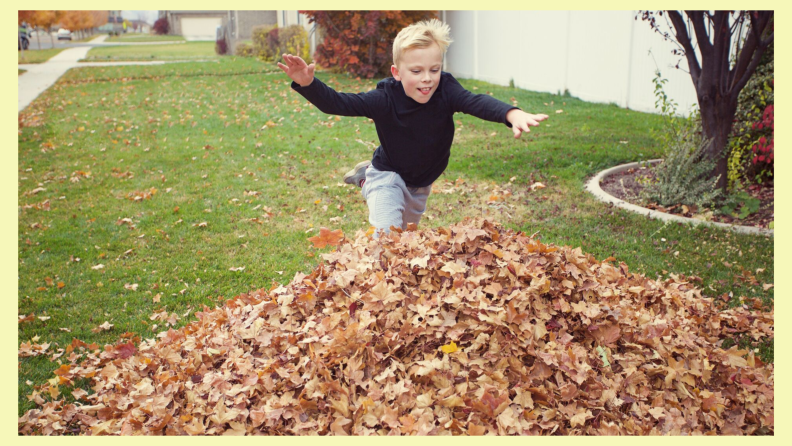 Jumping in large pile of leaves