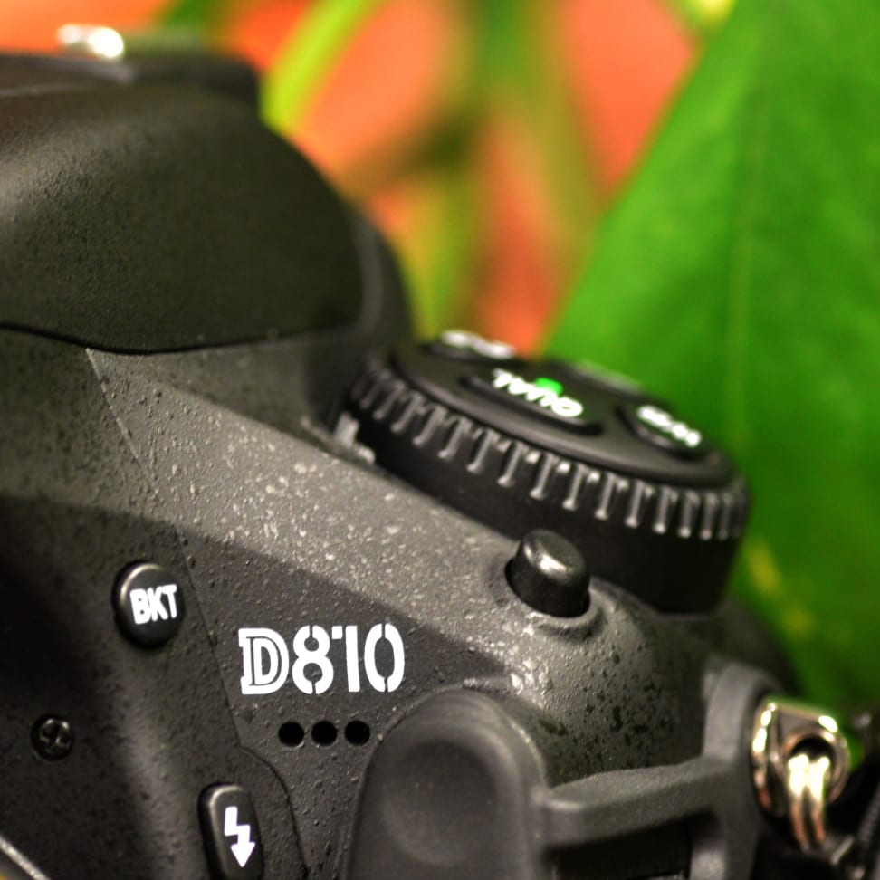 5 Best Nikon DSLR Cameras of 2023 photo