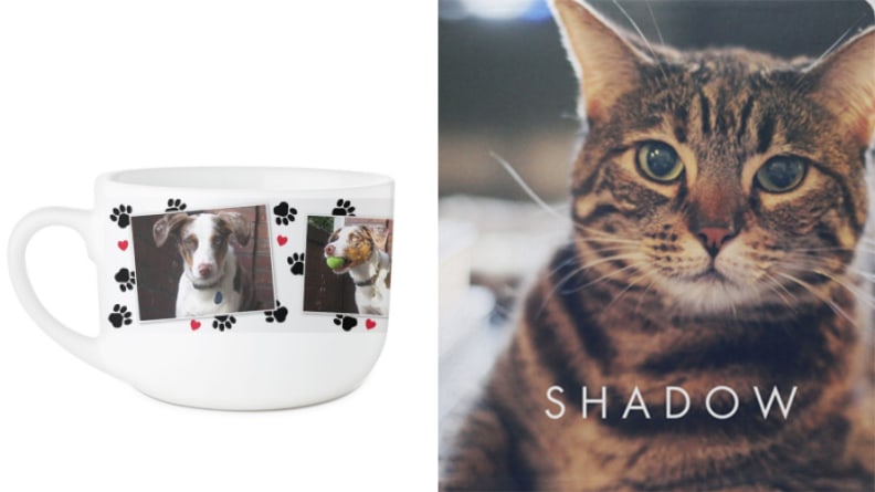 best gifts under $50