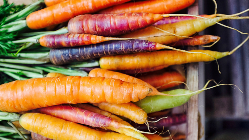 Carrots harvested from a garden