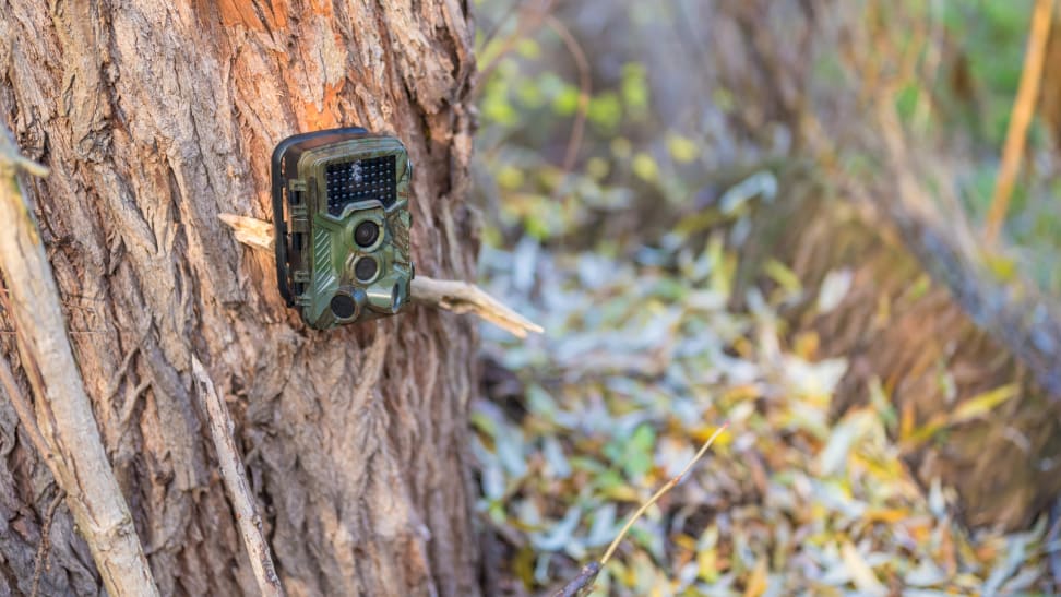 The Best Trail Cameras