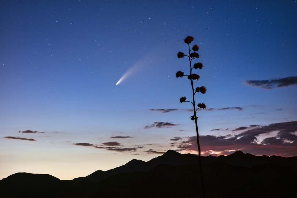 The NEOWISE comet in the Northern Hemisphere night sky