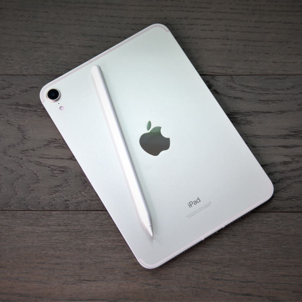 Old Money - iPad Mini 8.3 (6th Gen) 2021 Case