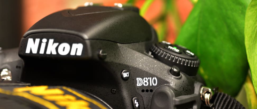 Grof Hinder Ramen wassen 5 Best Nikon DSLR Cameras of 2023 - Reviewed
