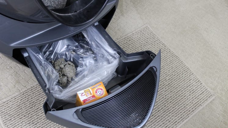Litter Robot Connect Review A Smart Automated Cat Litter Box