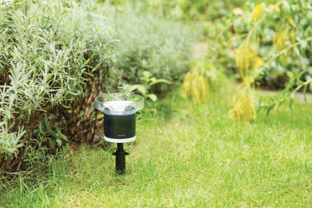 Netatmo Rain Gauge
