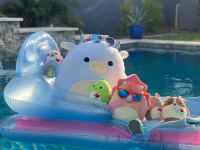 A variety of differently sized Squishmallows sit atop a pool floaty in a swimming pool