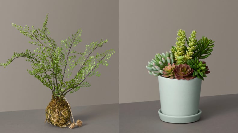The Top 10 Reasons to Go Faux  Artificial Plant Design - The Sill