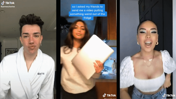Gif of how TikTok users transition between clips on the makeup brush and fridge challenge