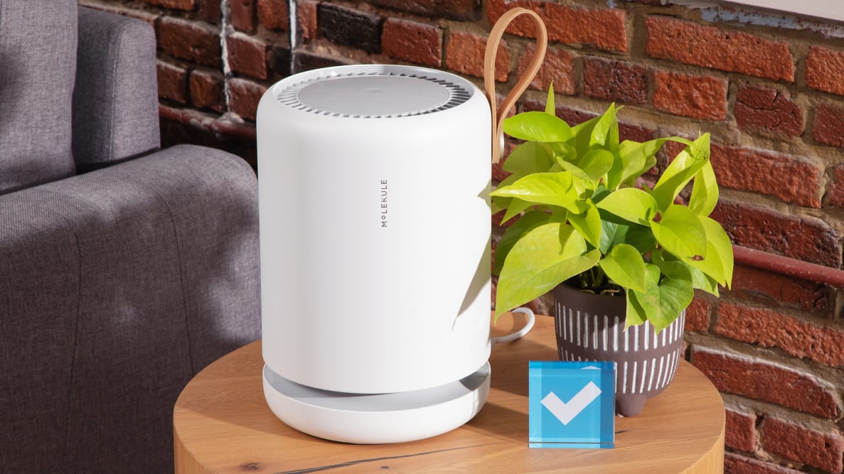A Molekule Mini+ air purifier sits on a table with a potted plant and the Reviewed logo.