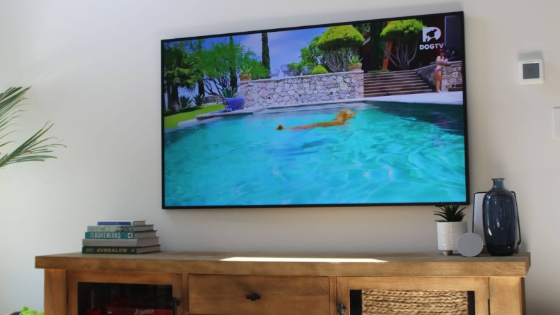 A TV playing the DogTV channel, showing a dog in a vibrant blue swimming pool.